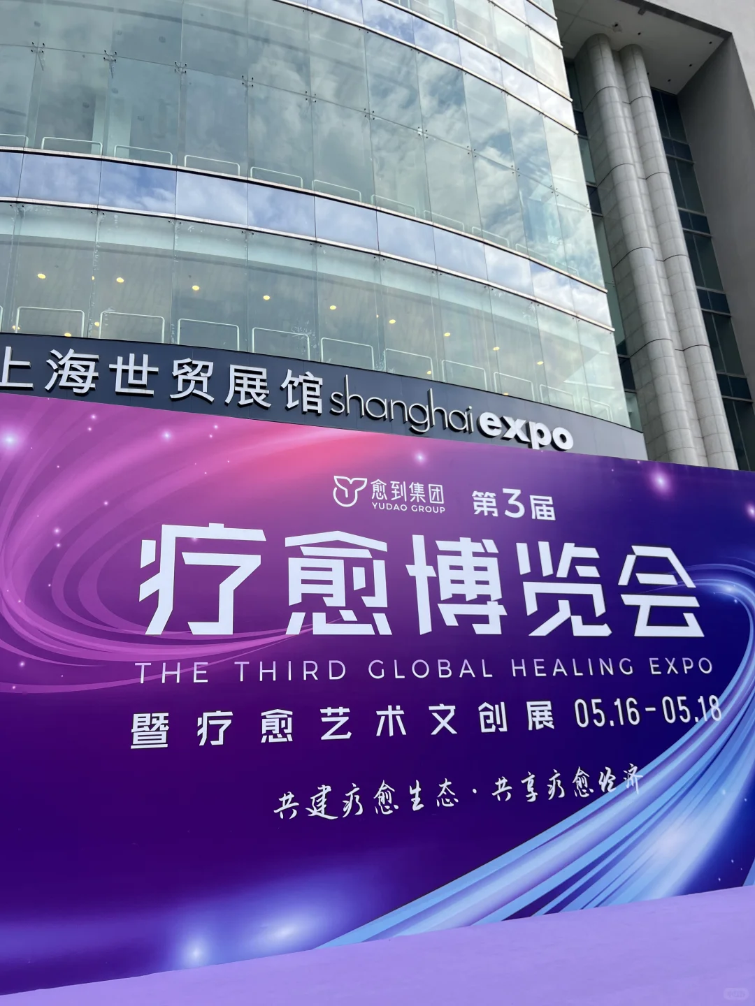 高敏感人想逛的疗愈博览会观后感