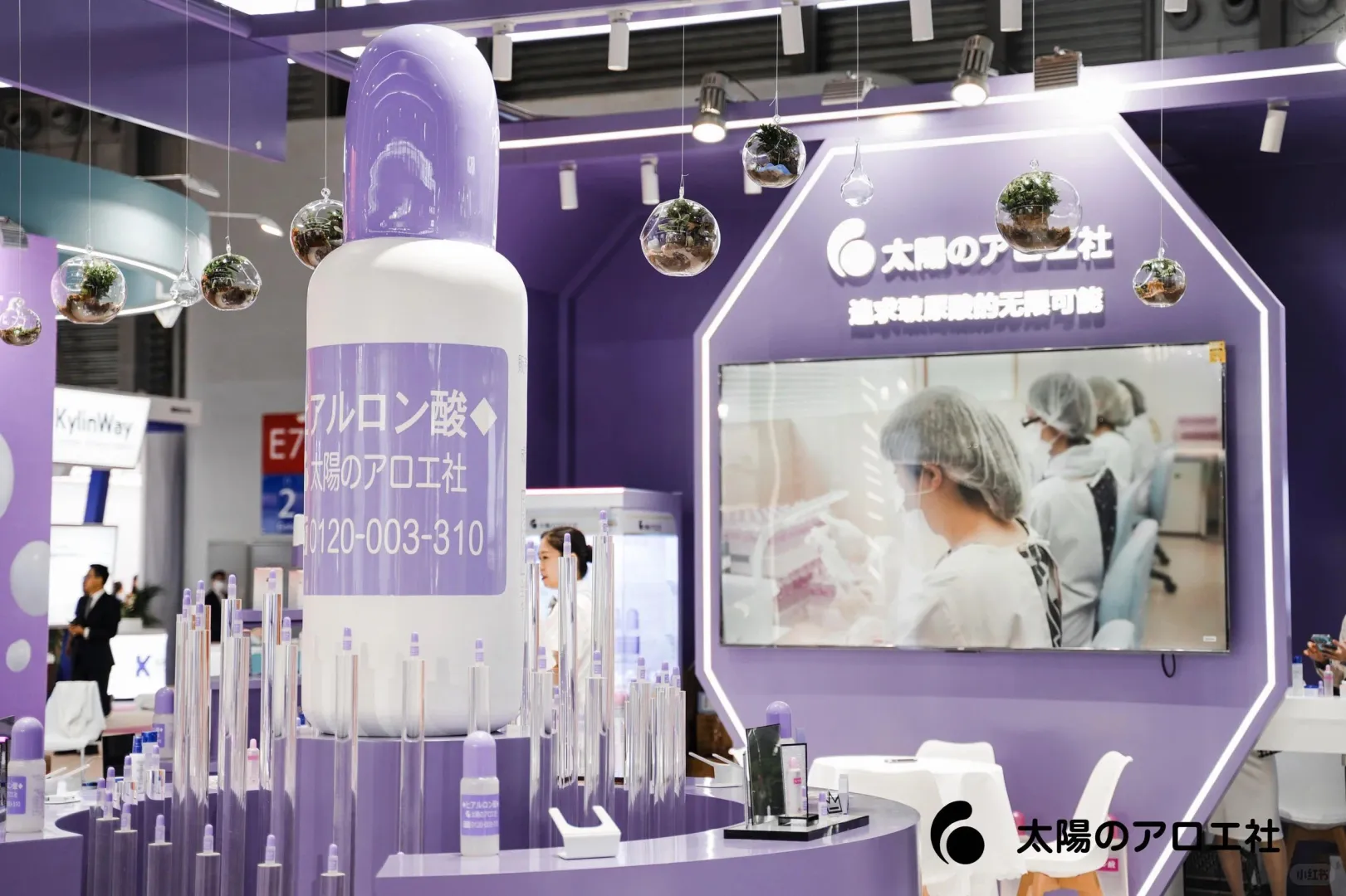 太阳花玻璃展的展览‖甘肃展览展会搭建