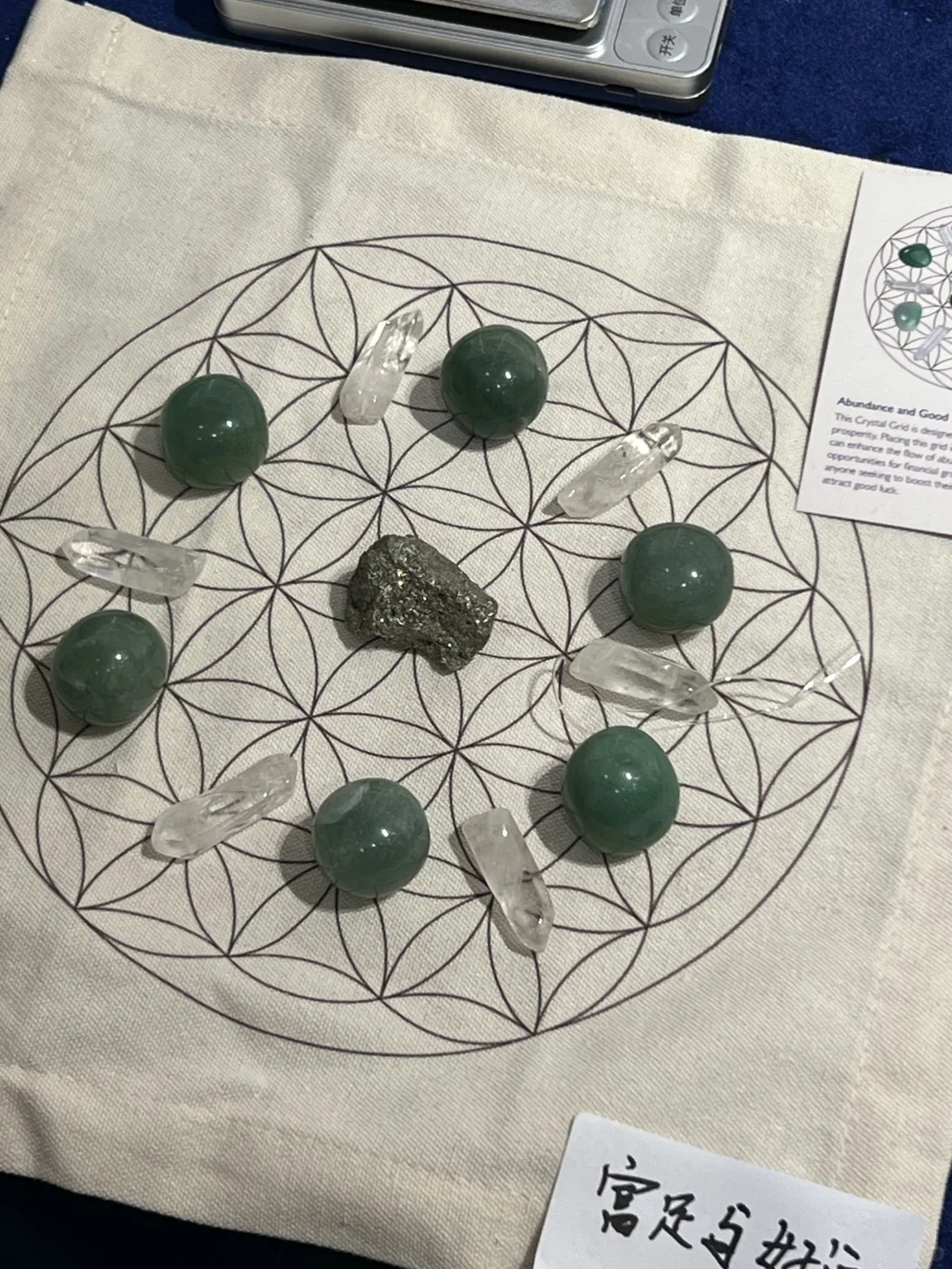 高敏感人想逛的疗愈博览会观后感