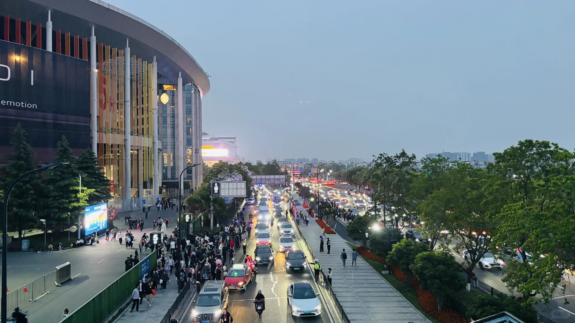 车展礼仪狗都不...