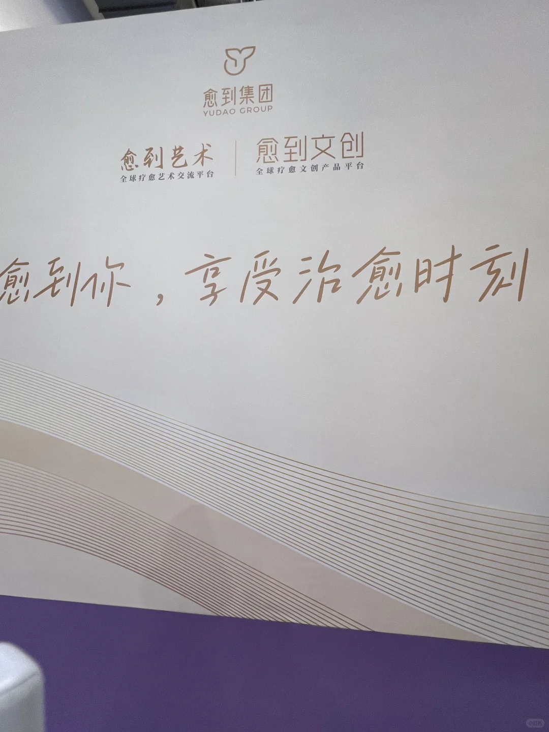 高敏感人想逛的疗愈博览会观后感