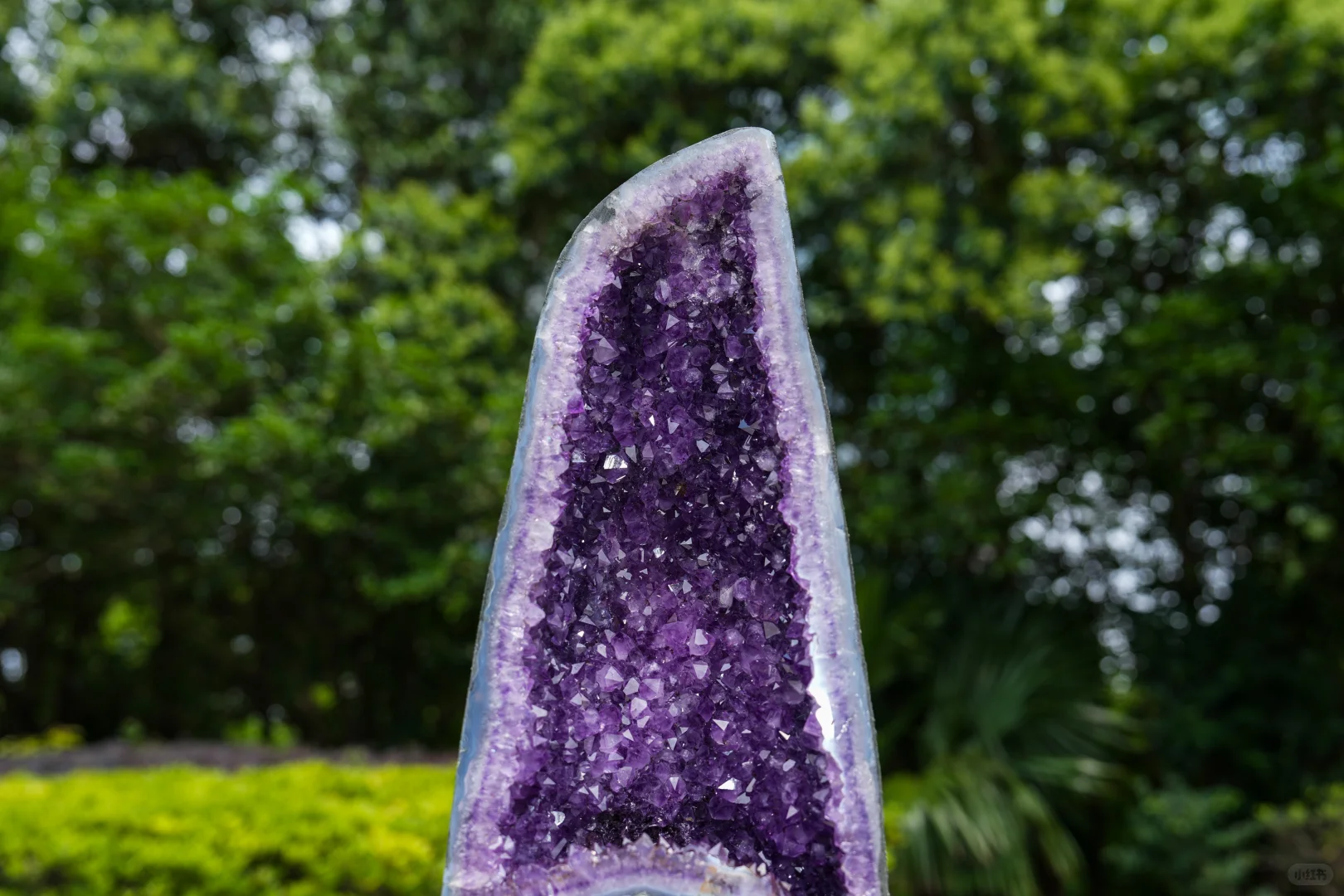 《星露谷物语》博物馆展览会致歉及更新说明