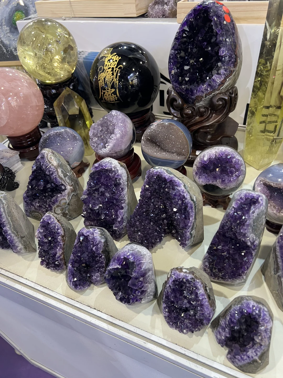 高敏感人想逛的疗愈博览会观后感