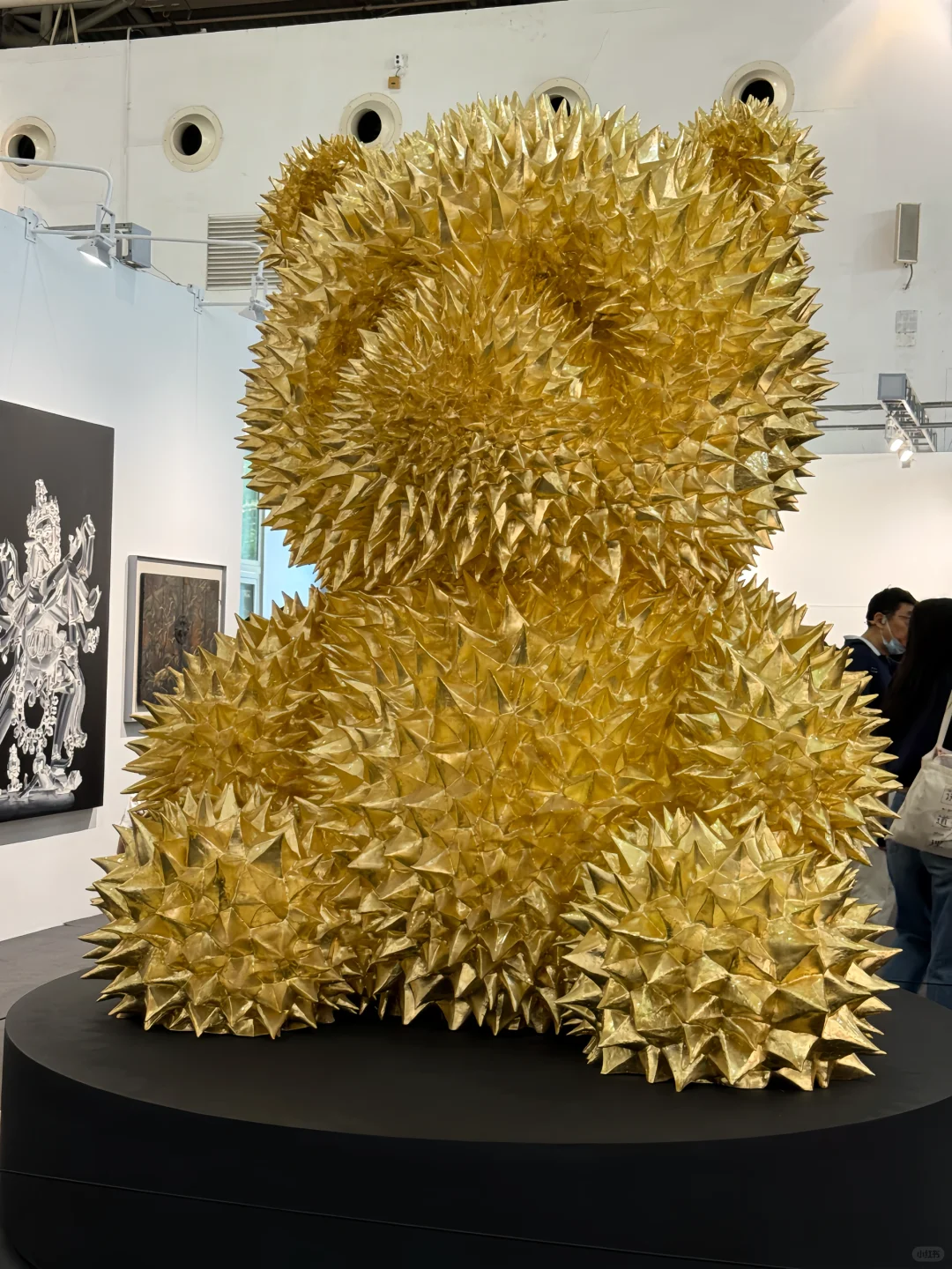 看不完!根本看不完!