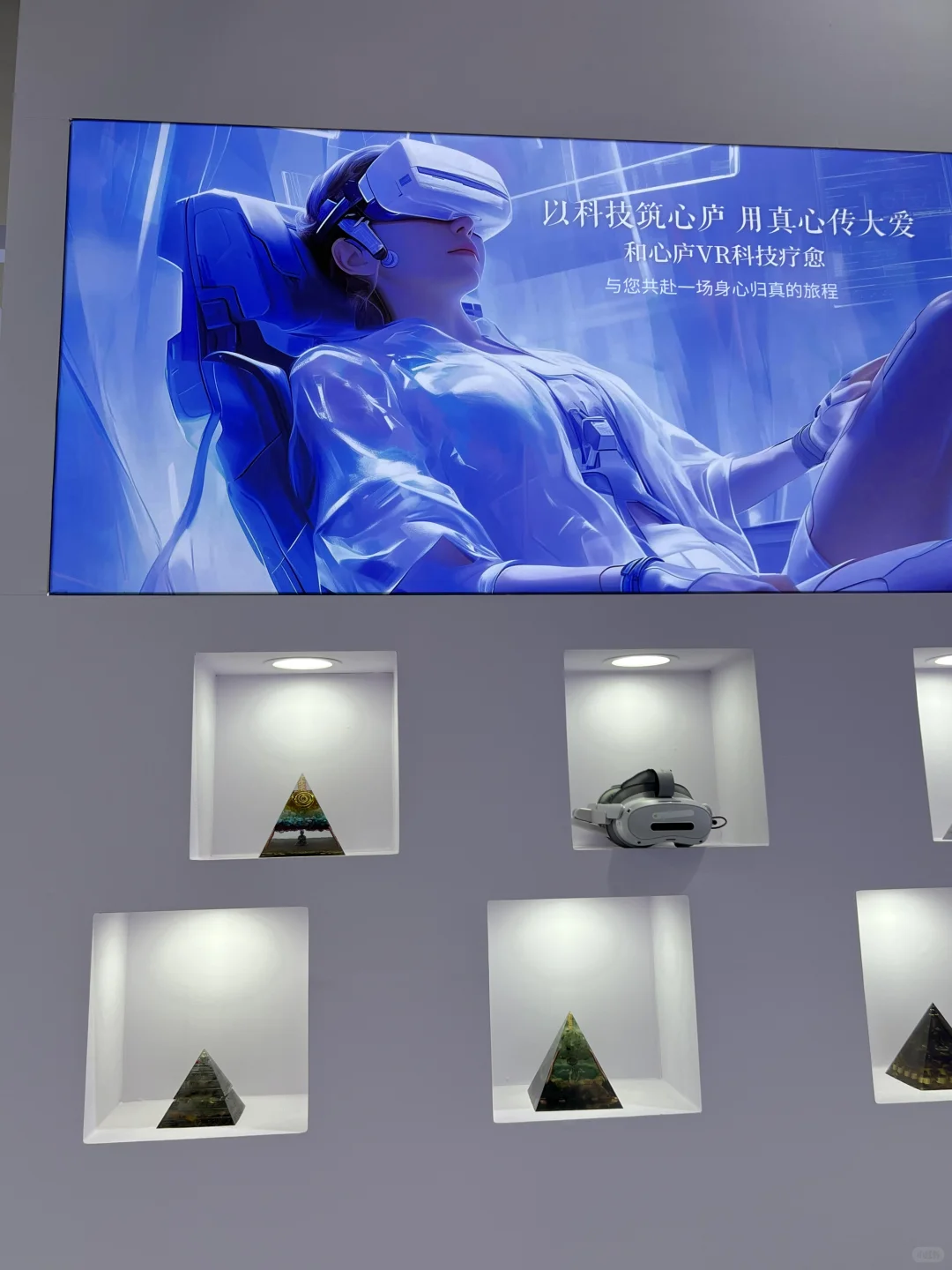 高敏感人想逛的疗愈博览会观后感