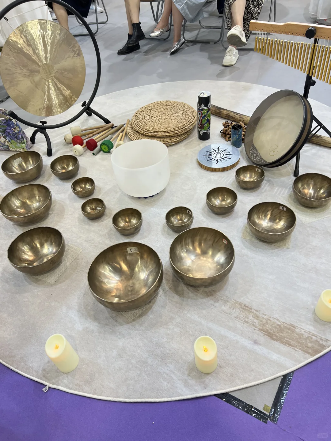 高敏感人想逛的疗愈博览会观后感