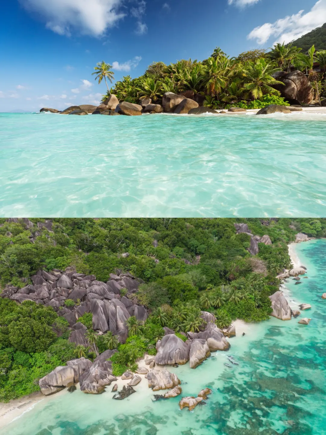 旅游圈大事?2025年旅游天花板级展会?