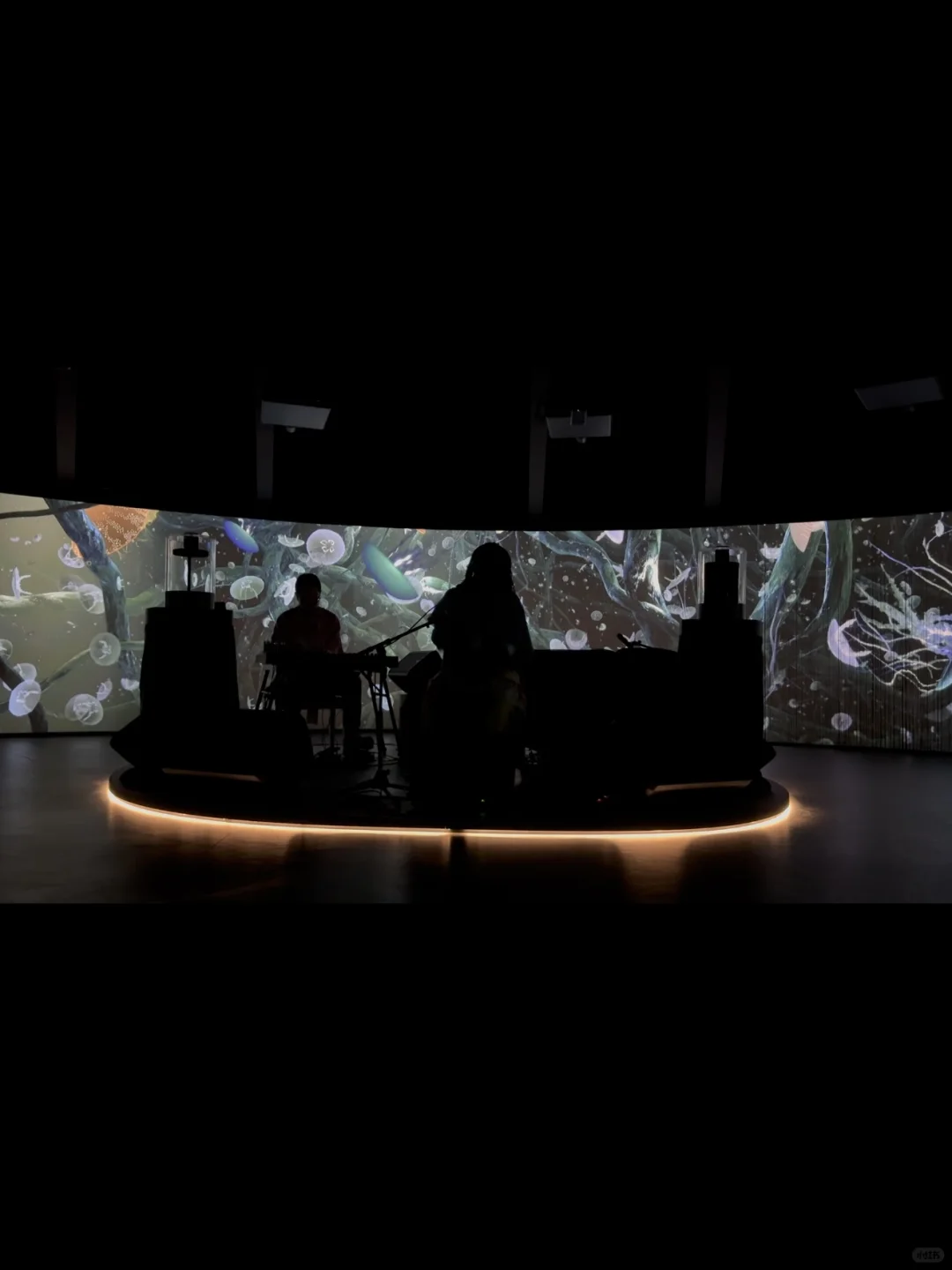 大阪世博会必玩「小众」场馆推荐?