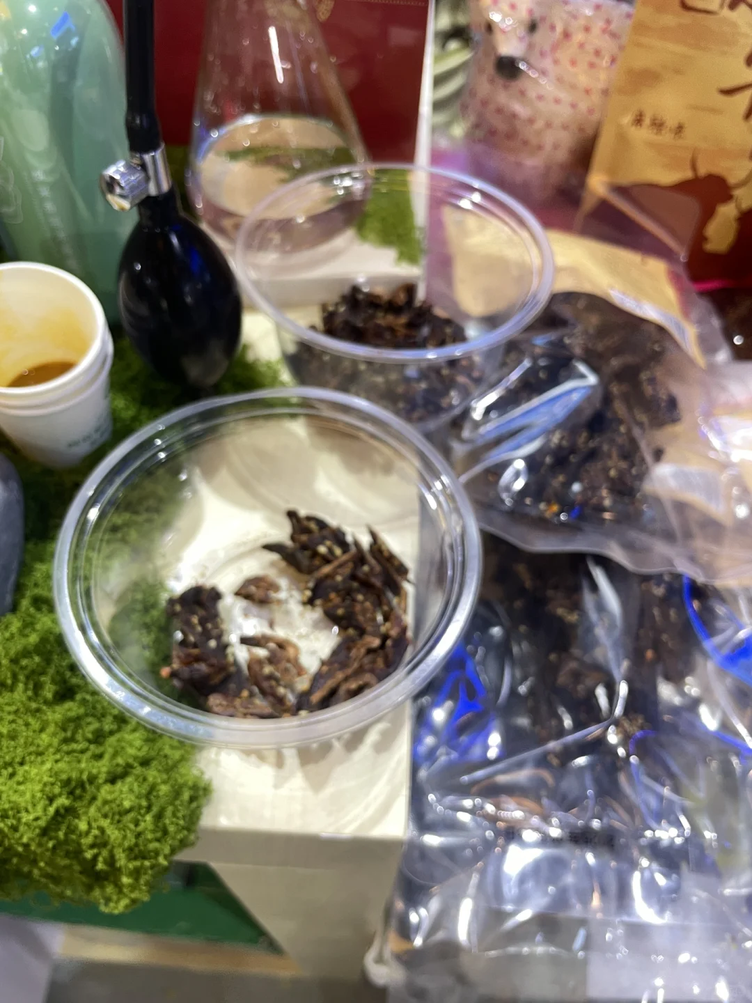 西博会近期展览