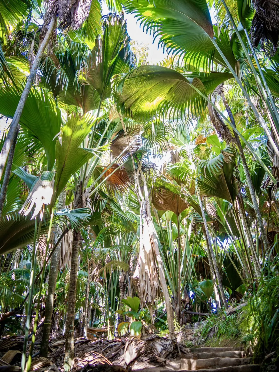 旅游圈大事?2025年旅游天花板级展会?