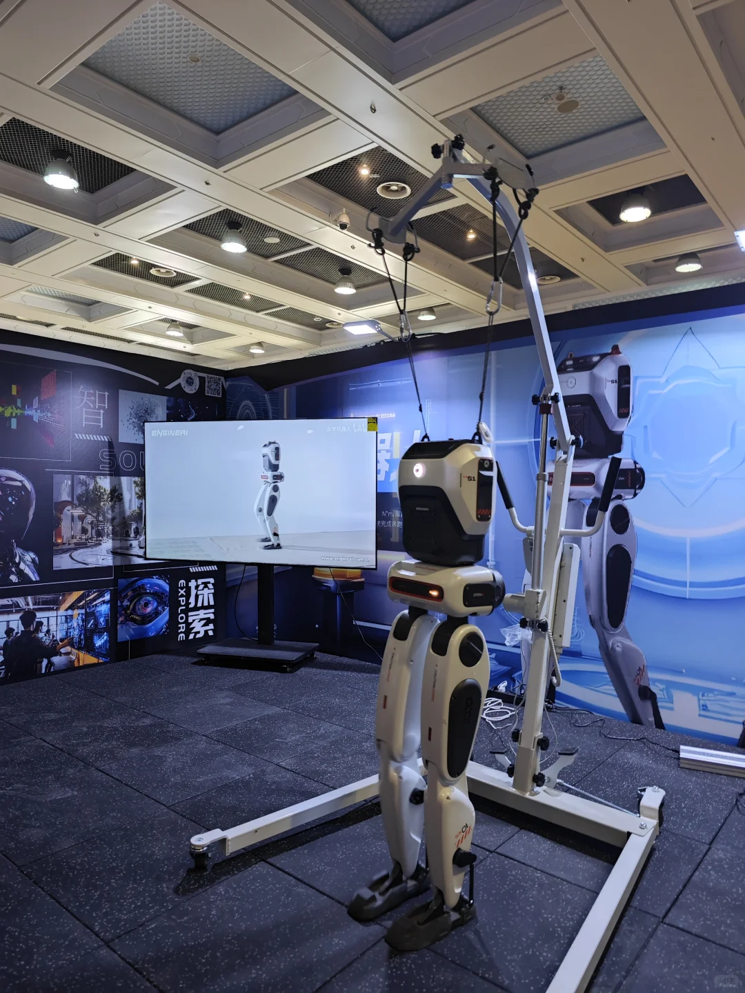 避雷ai机器人展