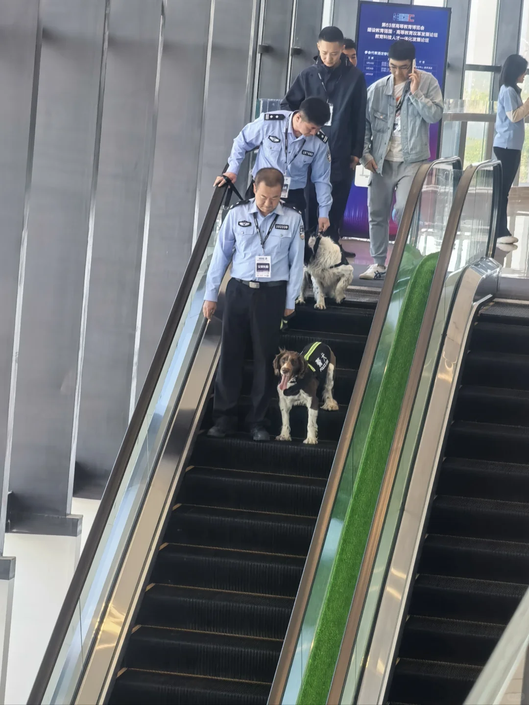 第六十三届高博会??