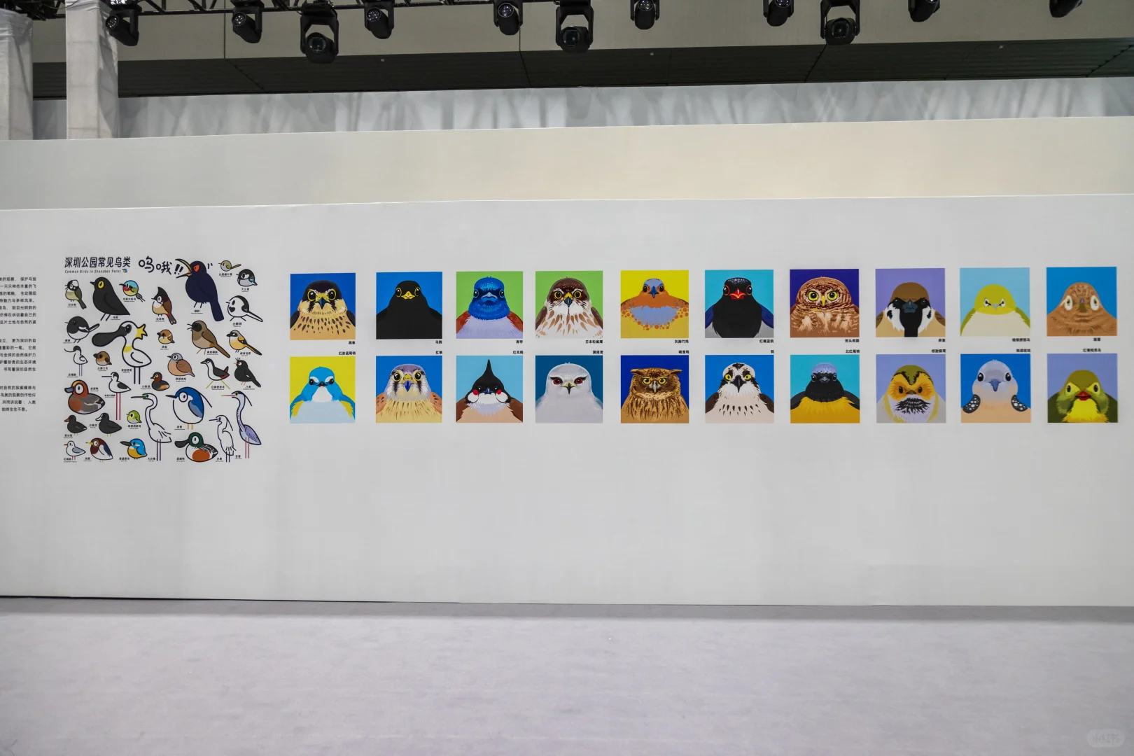 花钱看展 | 深圳文博会（逛完要一天时间）