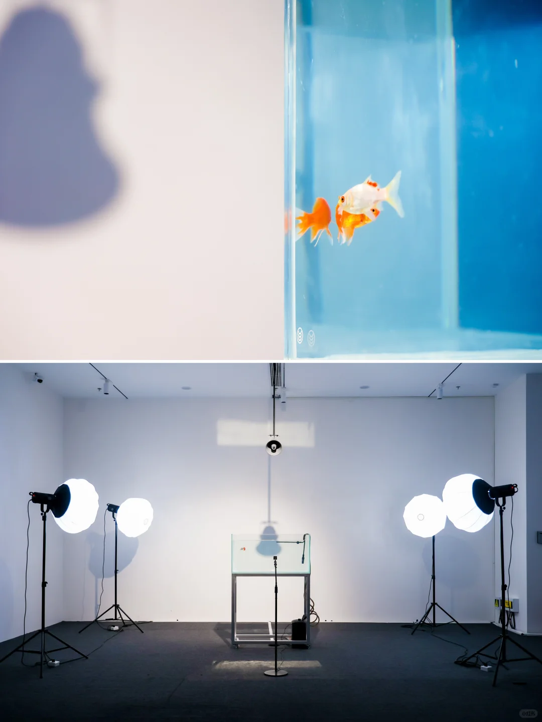 珠海新展｜感受行走数字幻境的震撼艺术魅力