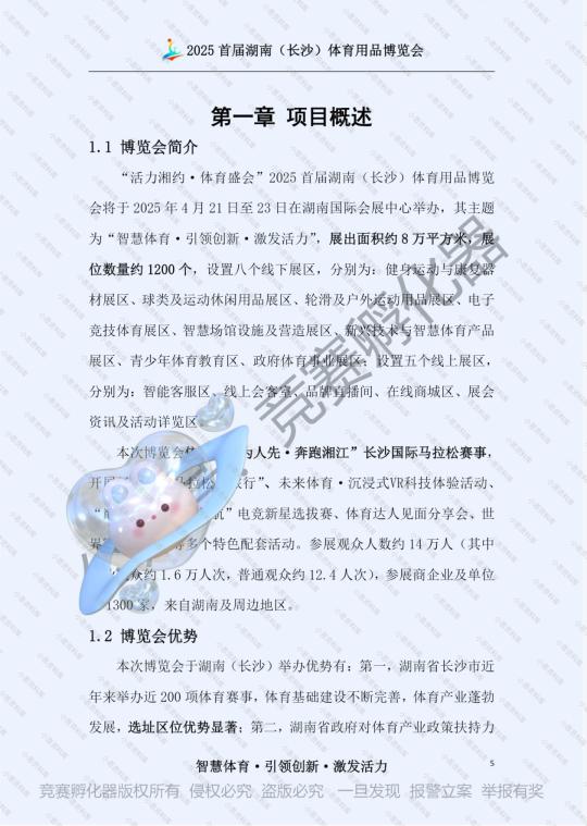 商挑文旅与会展 会展项目策划-国一作品