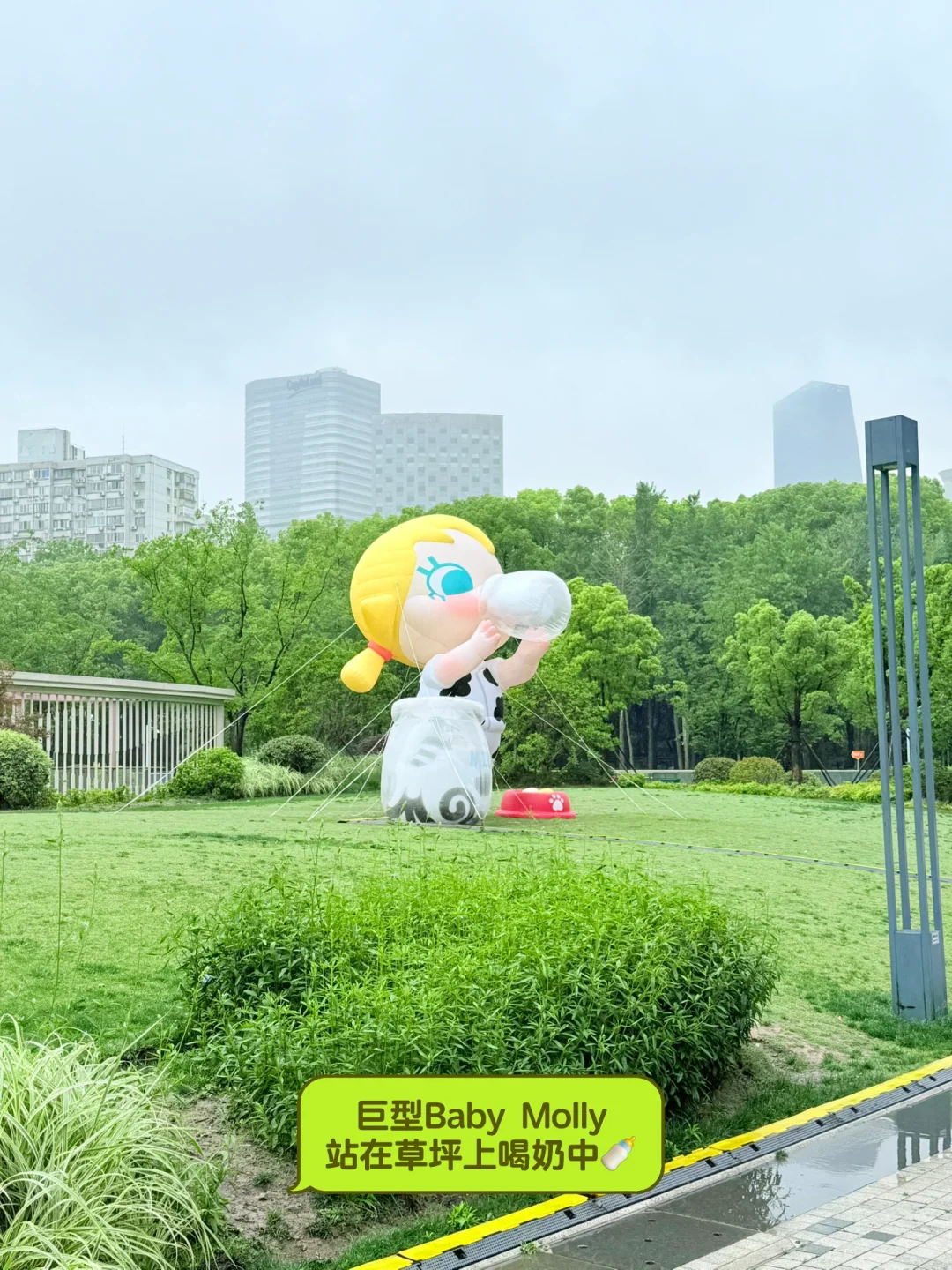 预计要火‼?这有超大BabyMolly展?还有惊喜