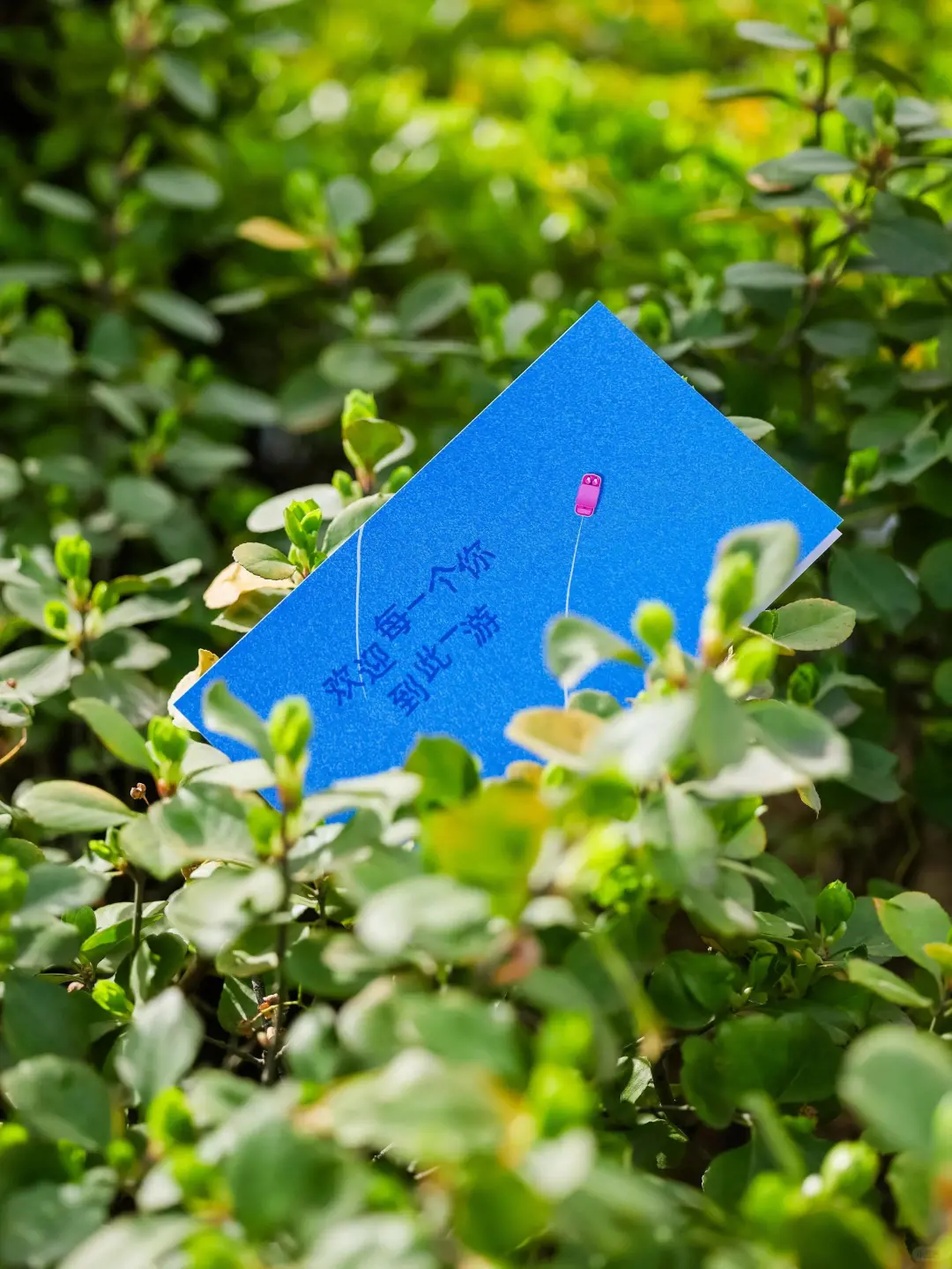 创意活动分享｜keep「一个划水的诗歌展」