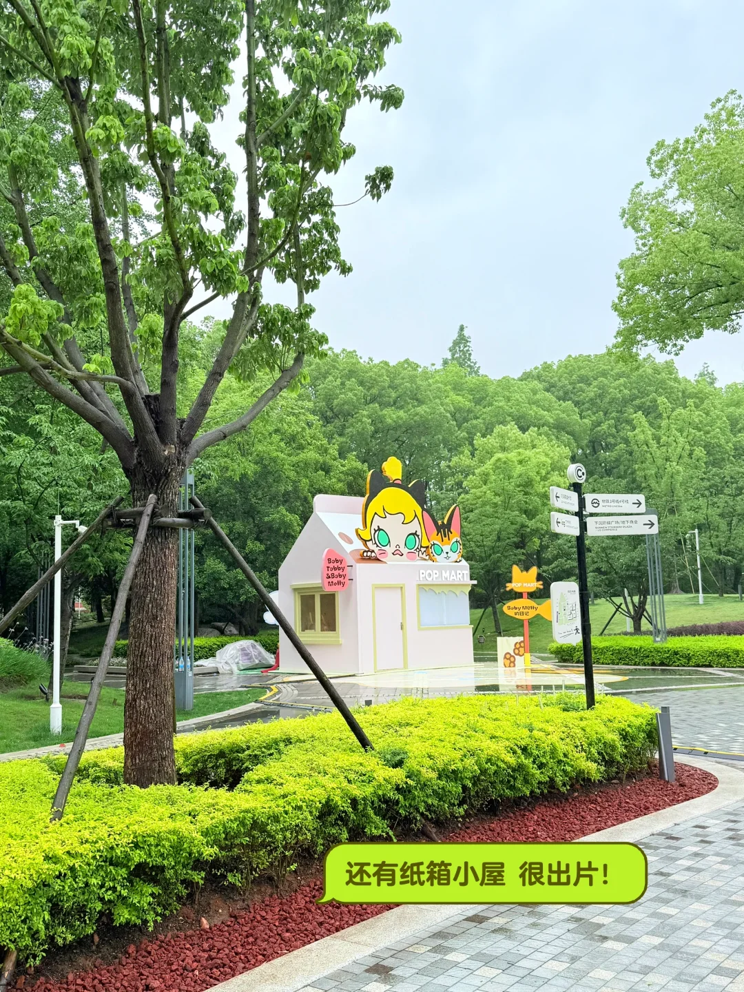 预计要火‼?这有超大BabyMolly展?还有惊喜