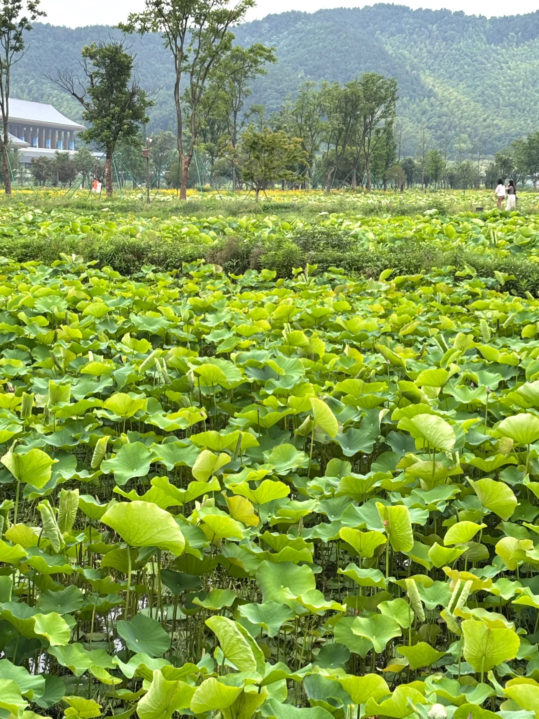 中国—中东欧国家博览会暨国际消费品博览会