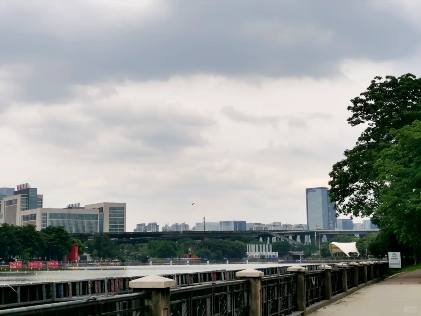 点进来占位置，端午福州会展中心赛龙舟路线