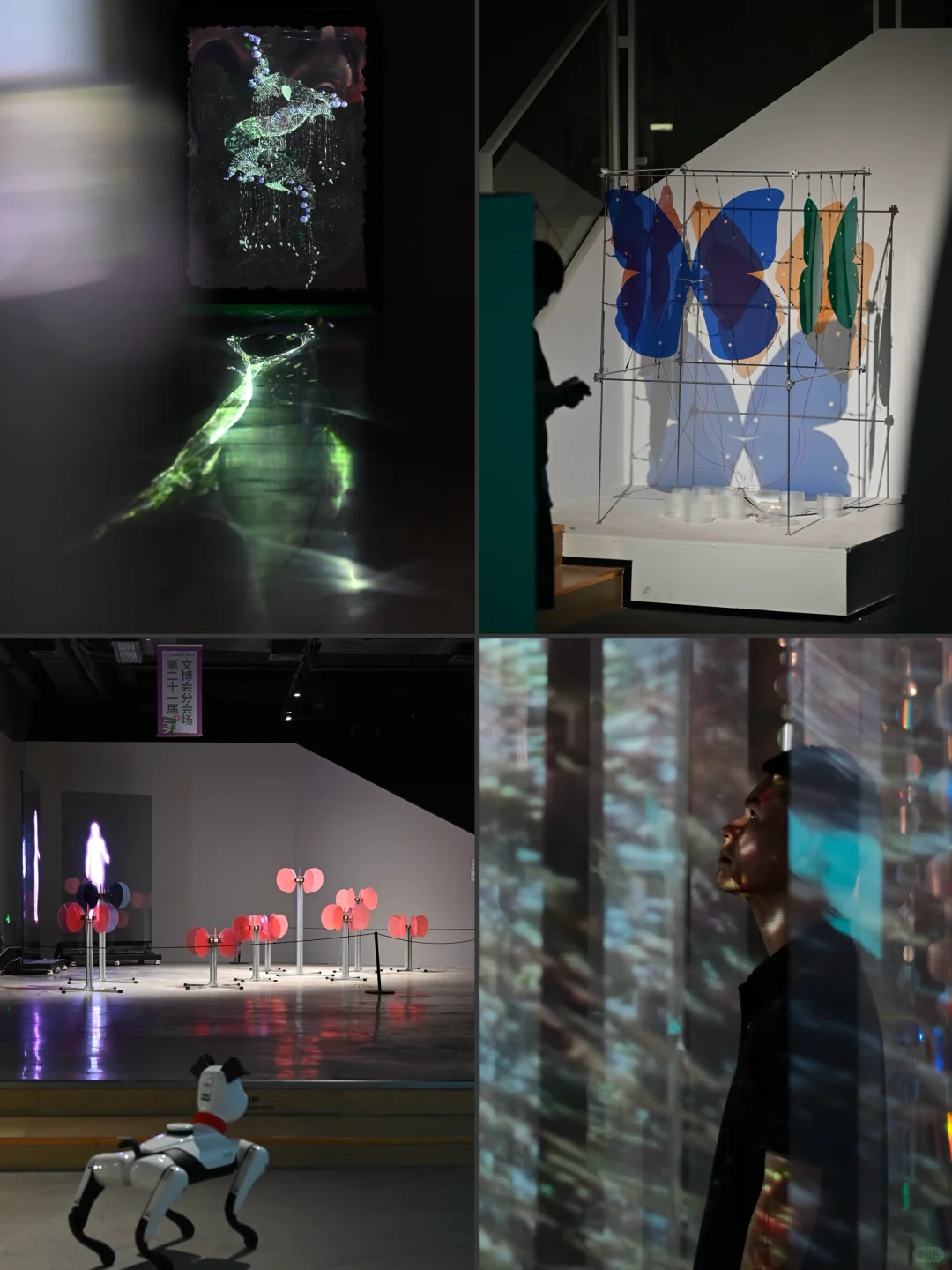 探秘文博会分会！在意识花园里触摸数字艺术