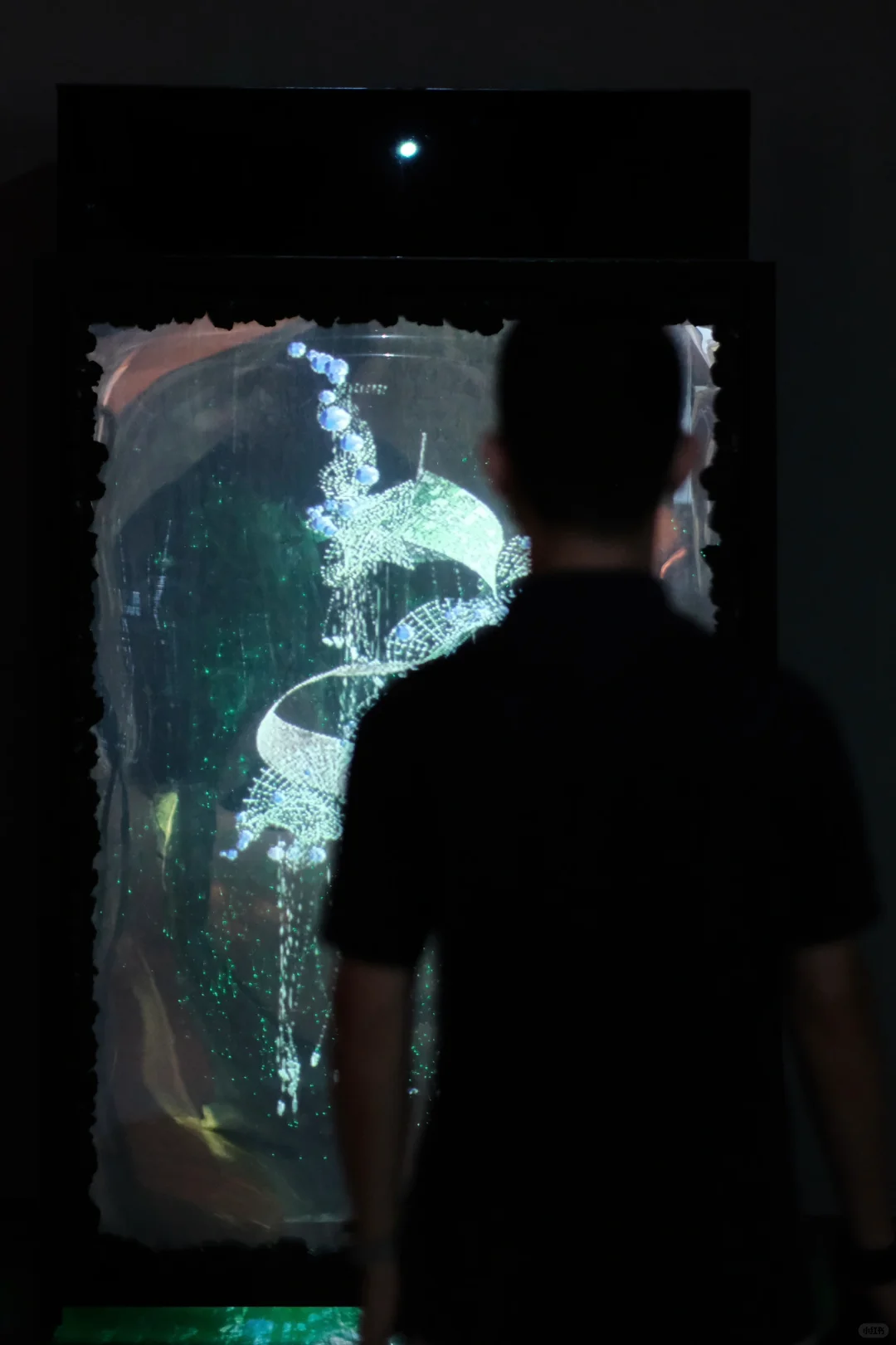 探秘文博会分会！在意识花园里触摸数字艺术