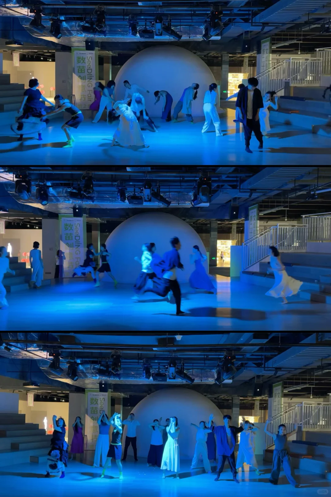 探秘文博会分会！在意识花园里触摸数字艺术