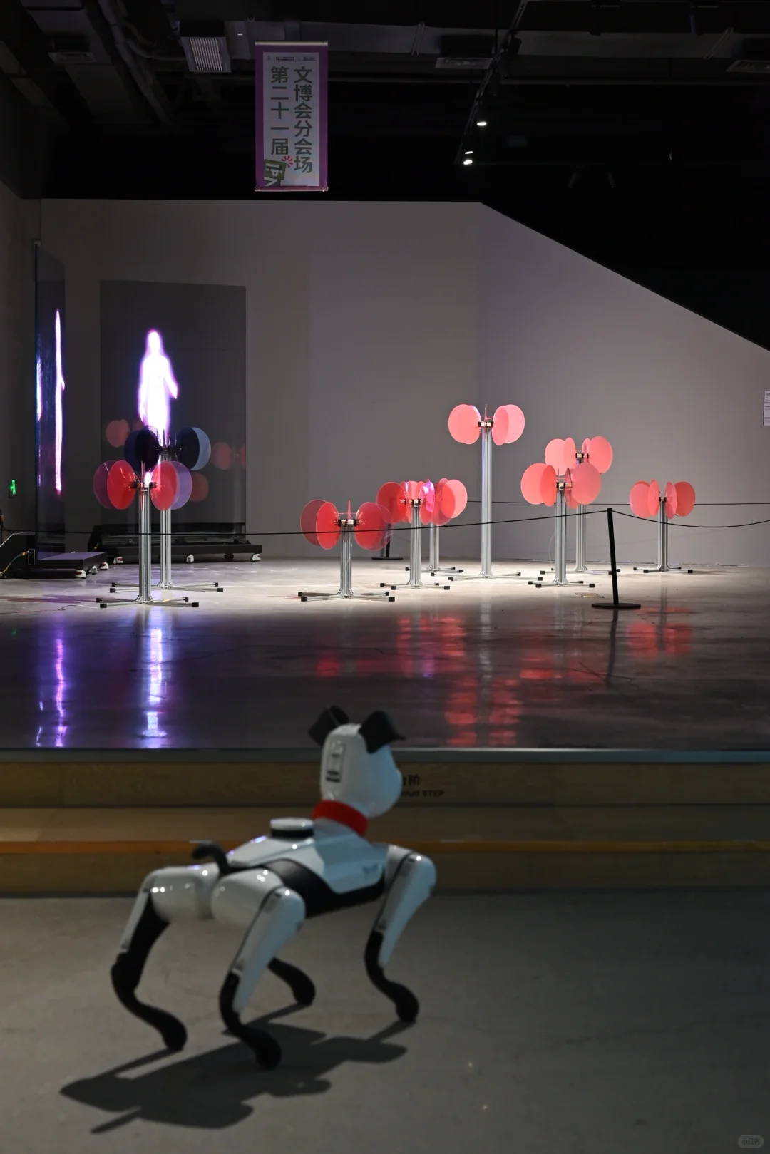 探秘文博会分会！在意识花园里触摸数字艺术