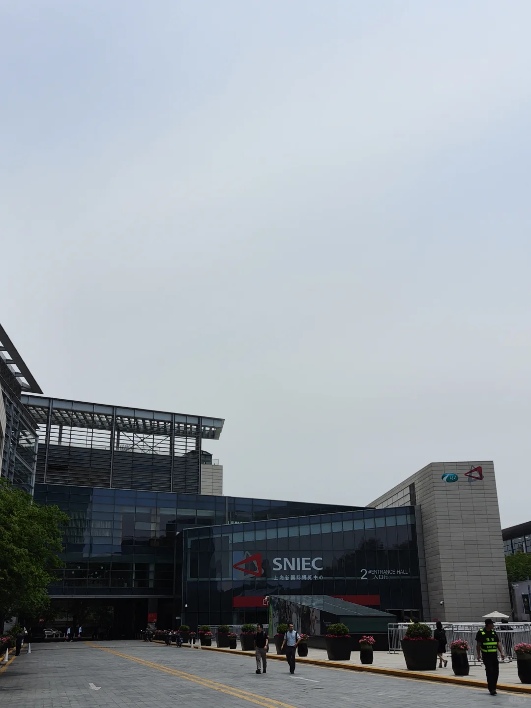 上海的一场别样期待