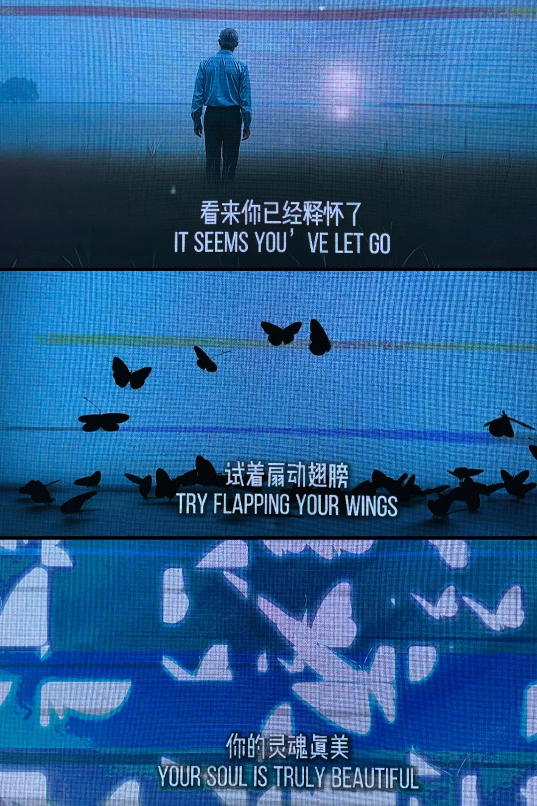 探秘文博会分会！在意识花园里触摸数字艺术