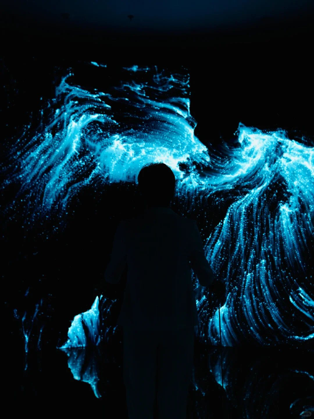 横琴新展攻略｜故宫博物院来横琴啦