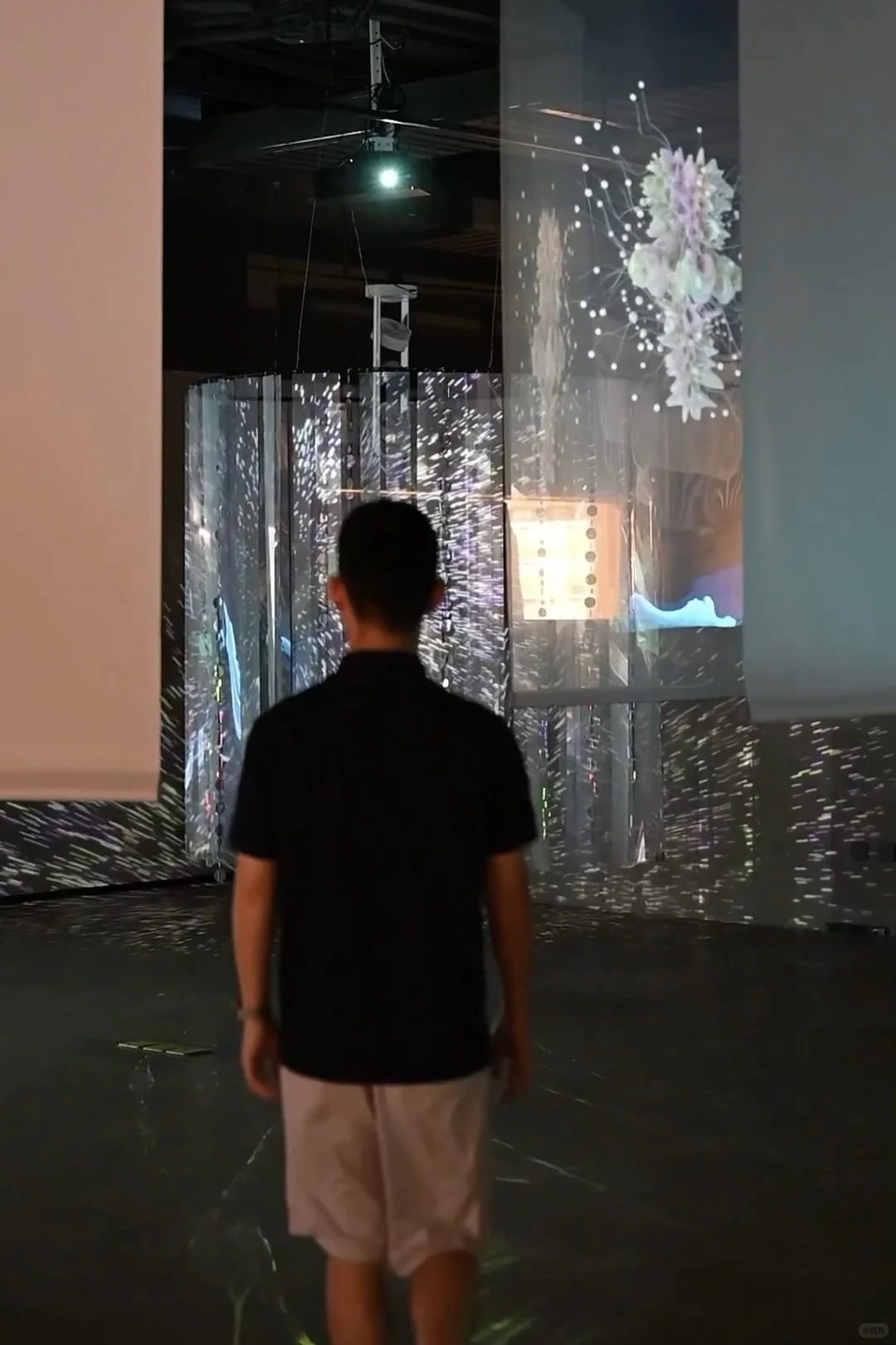 探秘文博会分会！在意识花园里触摸数字艺术