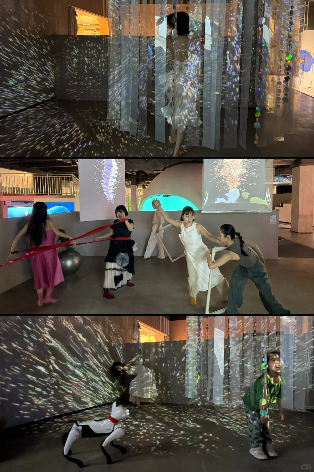 探秘文博会分会！在意识花园里触摸数字艺术