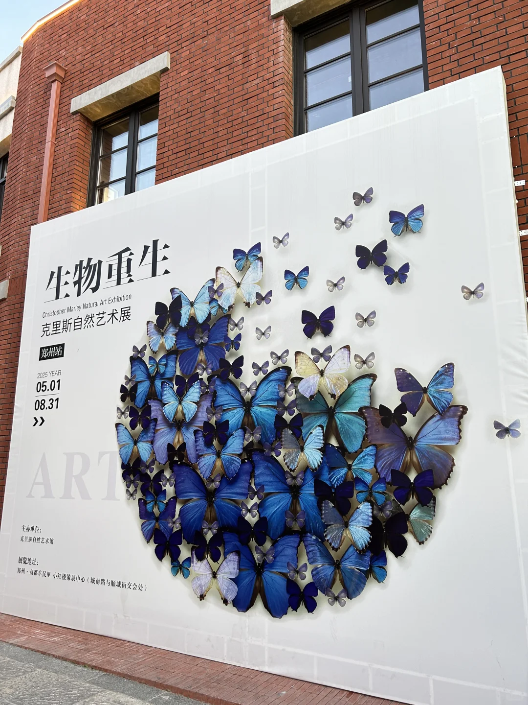 看看生物重生艺术展～