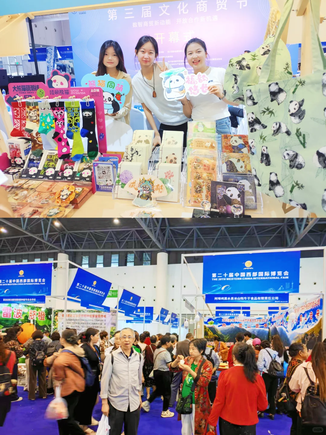 西博会仅剩两天‼️还没有来打卡的宝子速冲?