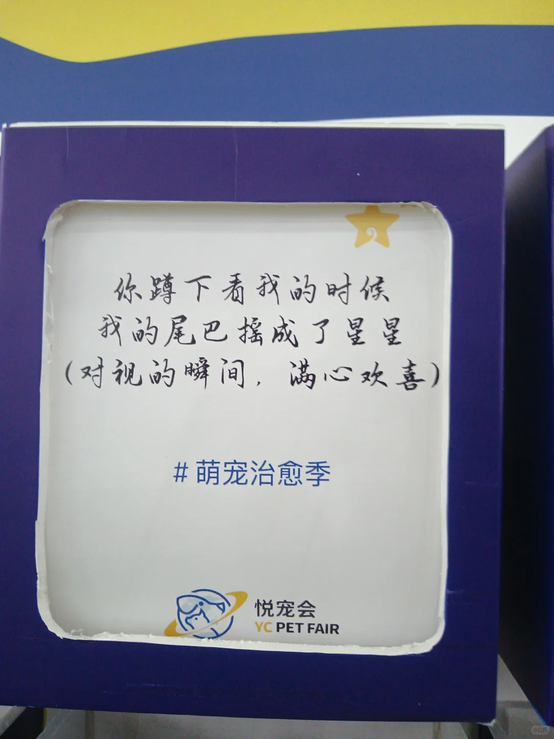 贵阳宠物博览会欢迎你