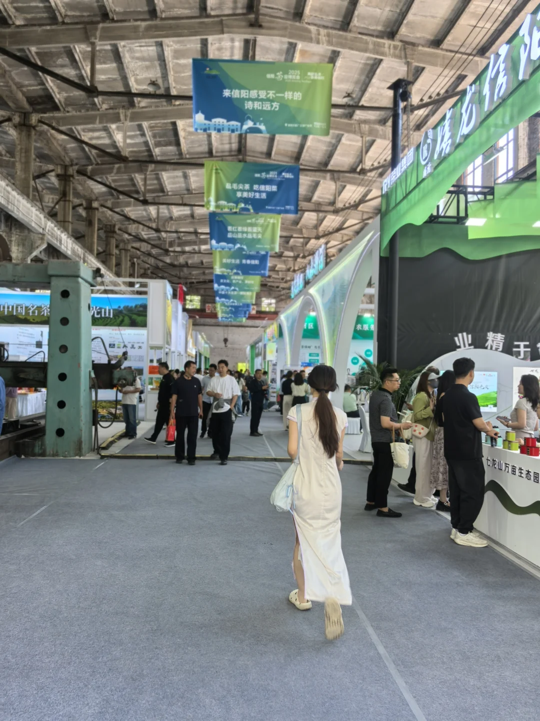信阳茶叶博览会暨2025中国绿茶品牌大会