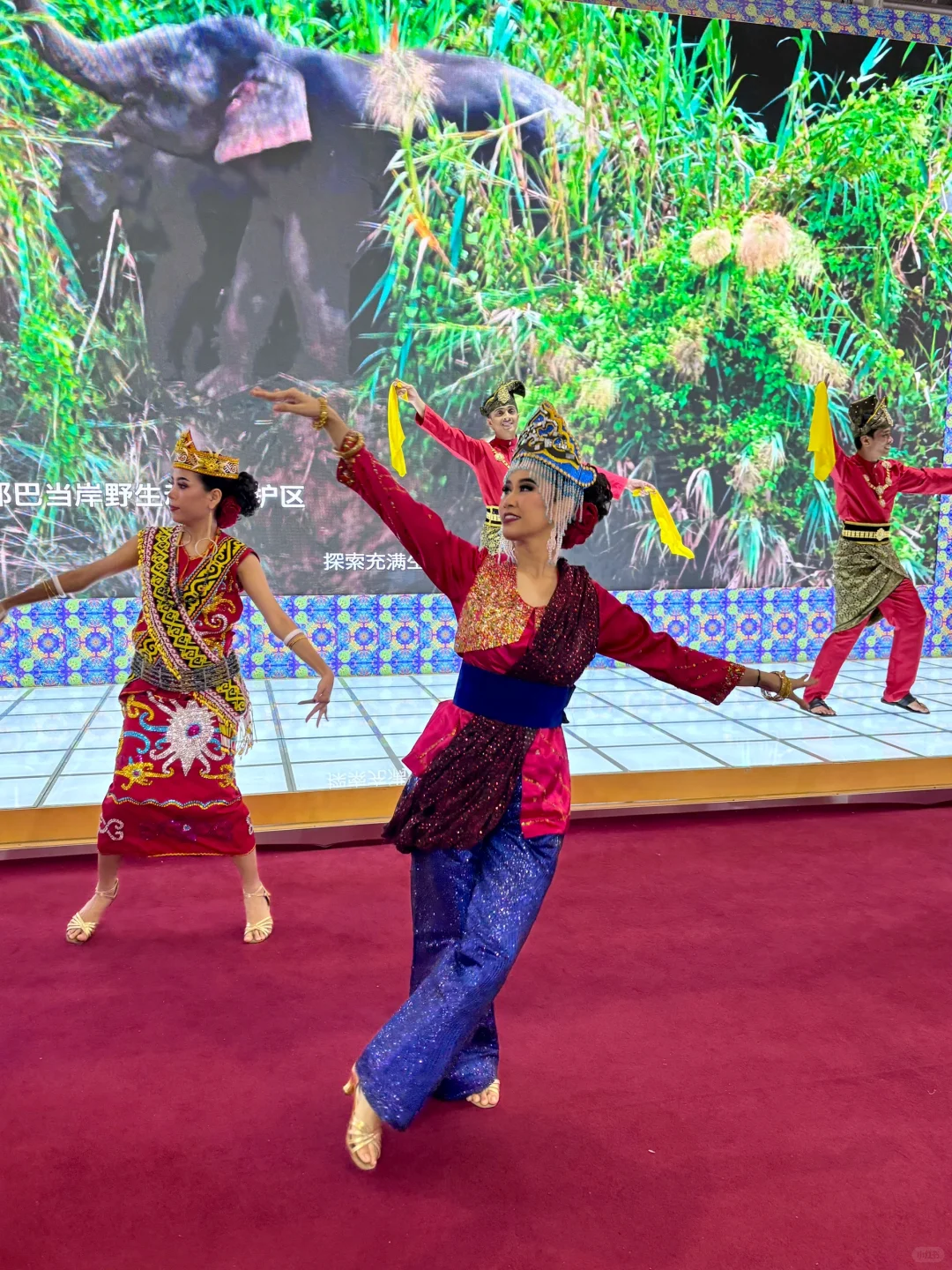 ITB没白来!砂拉越真是大马小众秘境