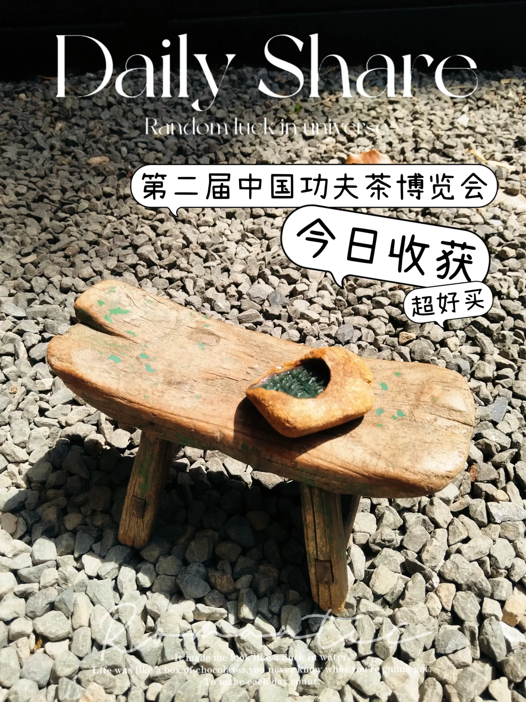 第二届中国工夫茶博览会今日收获