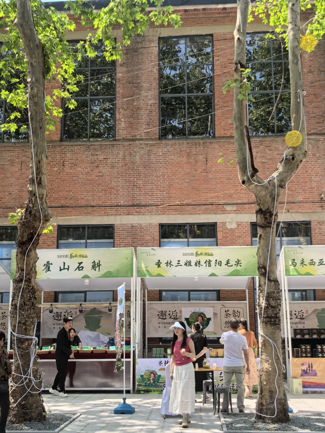 信阳茶叶博览会暨2025中国绿茶品牌大会