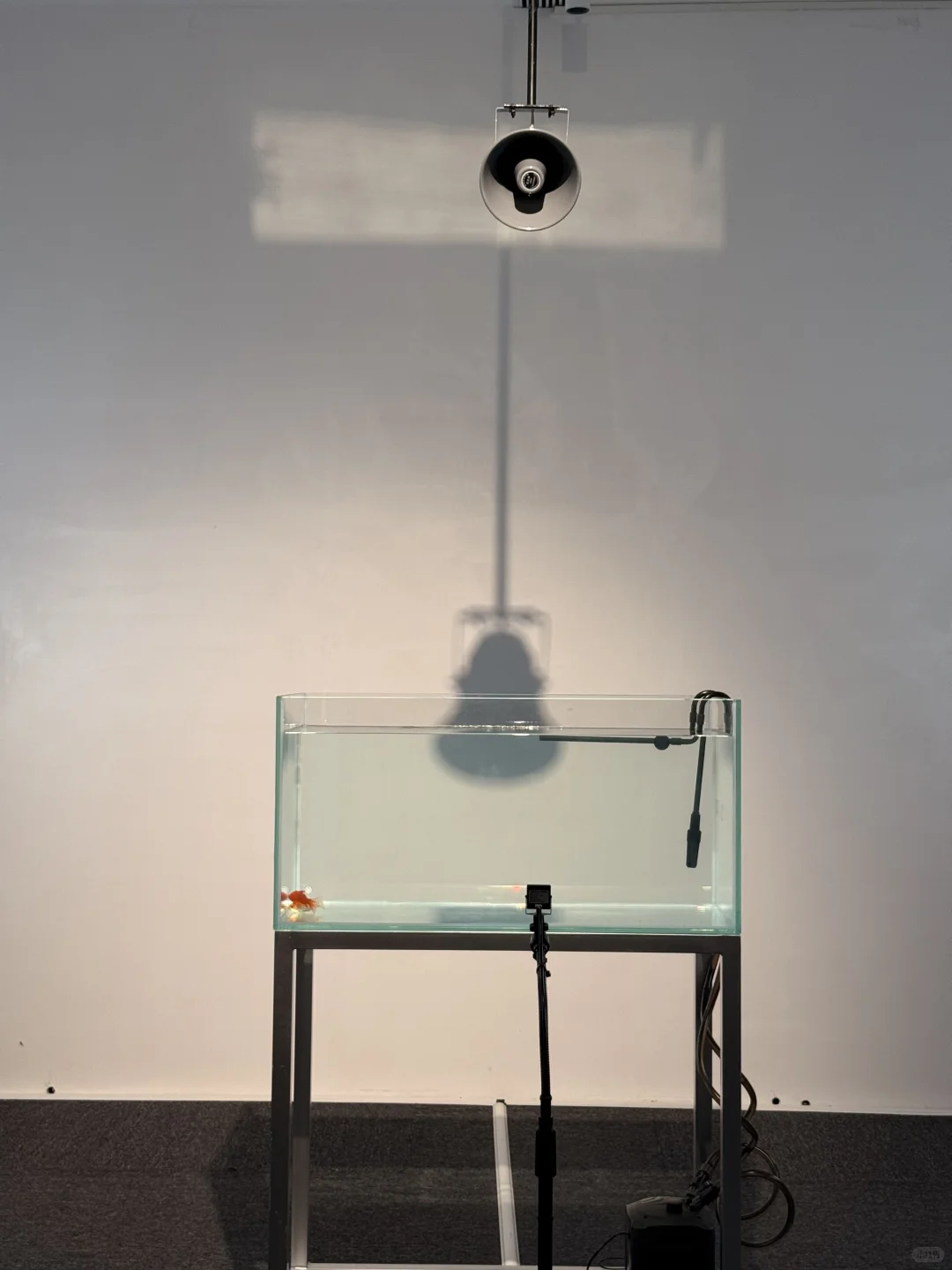 珠海新展|超有意思的数字艺术展