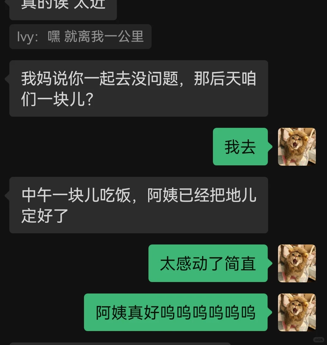 超级丝滑的就要出去玩了！