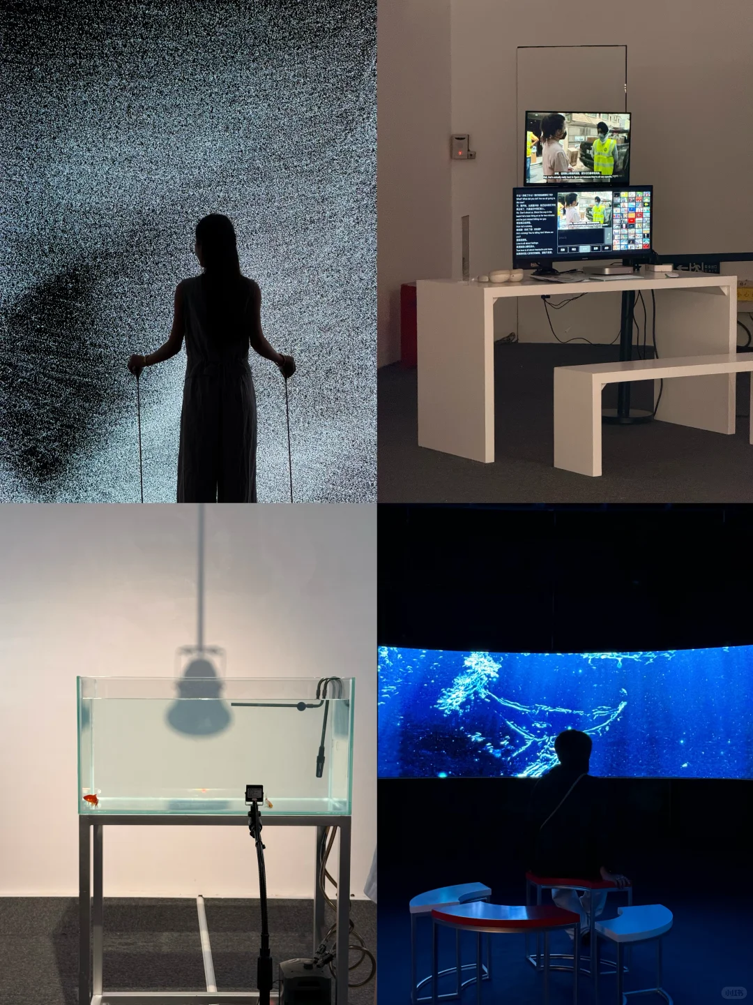 近期看过最震撼的数字艺术展！（赠?票