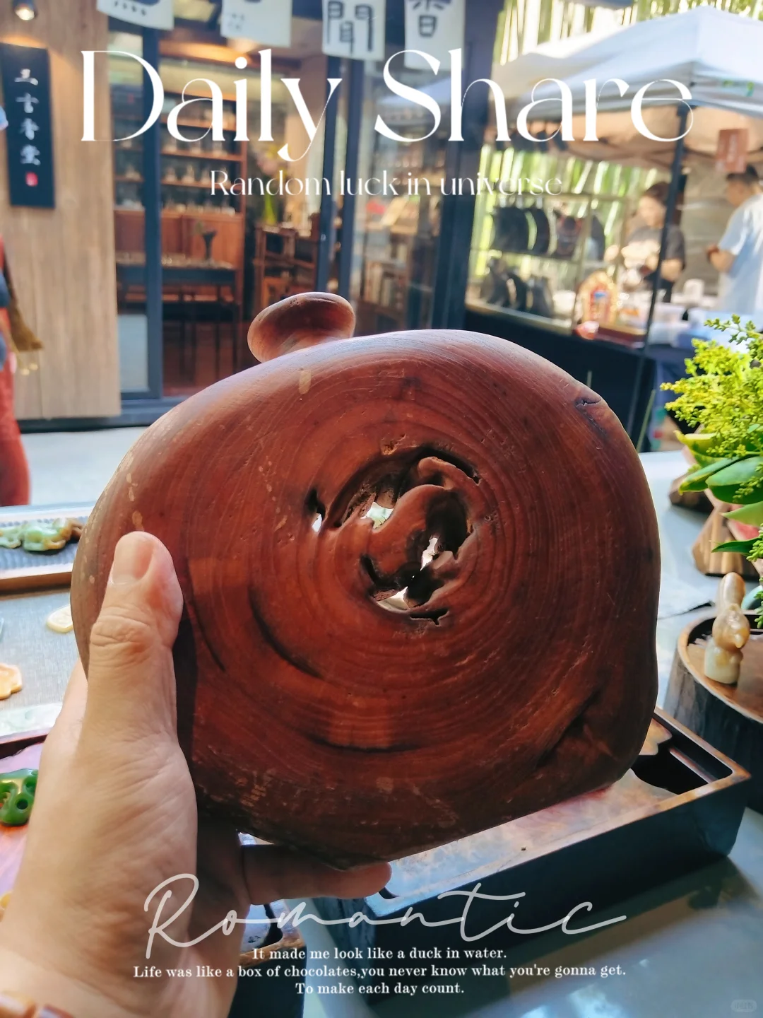 第二届中国工夫茶博览会今日收获