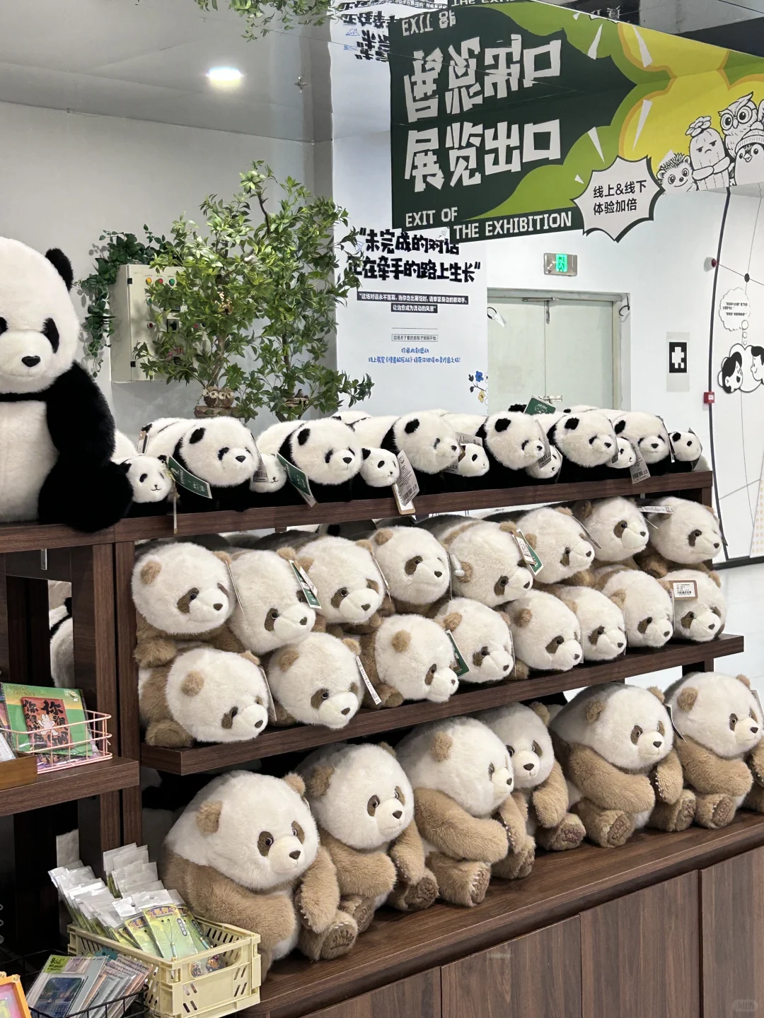 头号玩家的世界?在这里实现了！放松展！