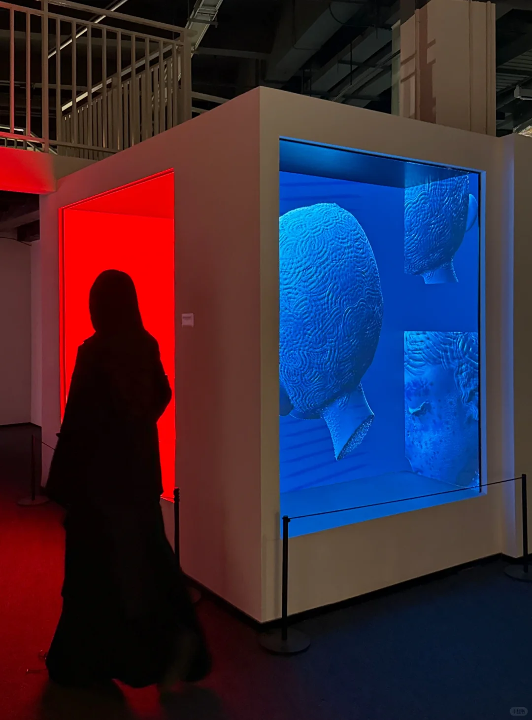 深圳｜闯进科幻异空间???好震撼！！