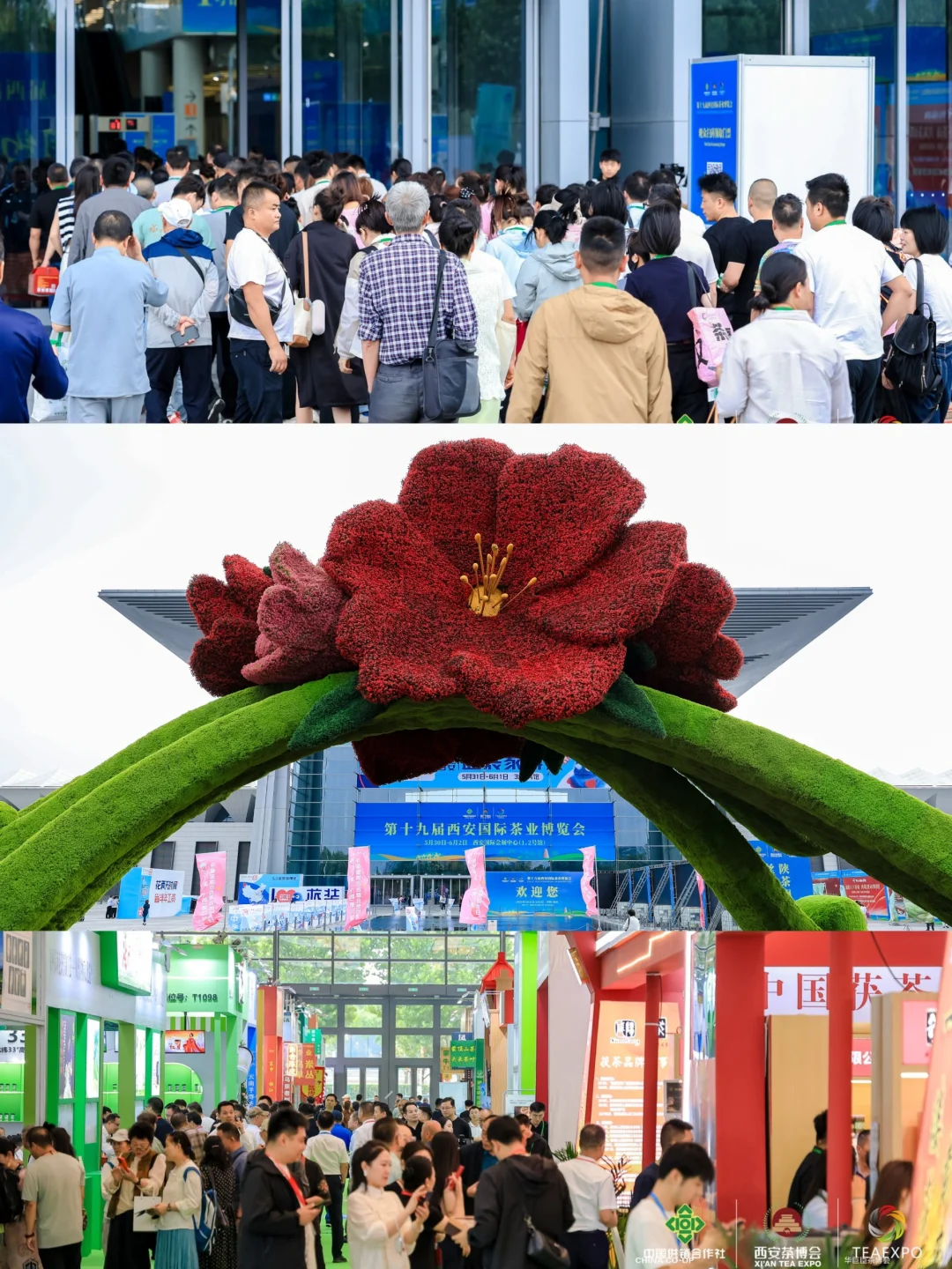 端午节冲啊!西安这个展会可以免费喝茶!