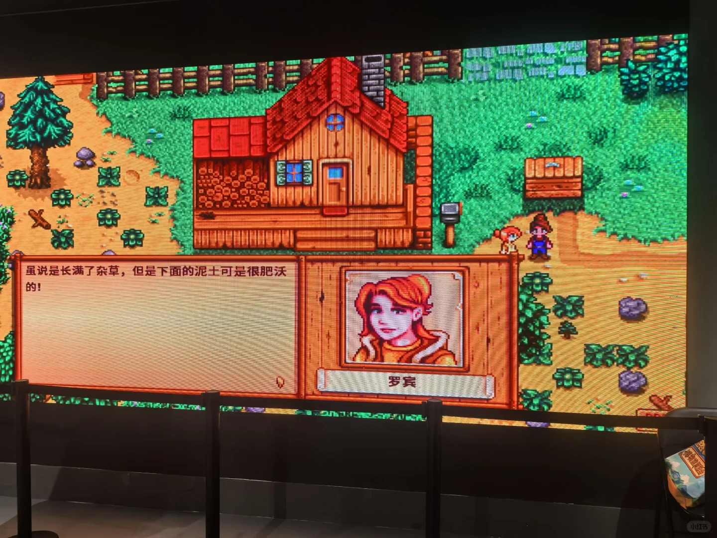 上海星露谷展览会留念