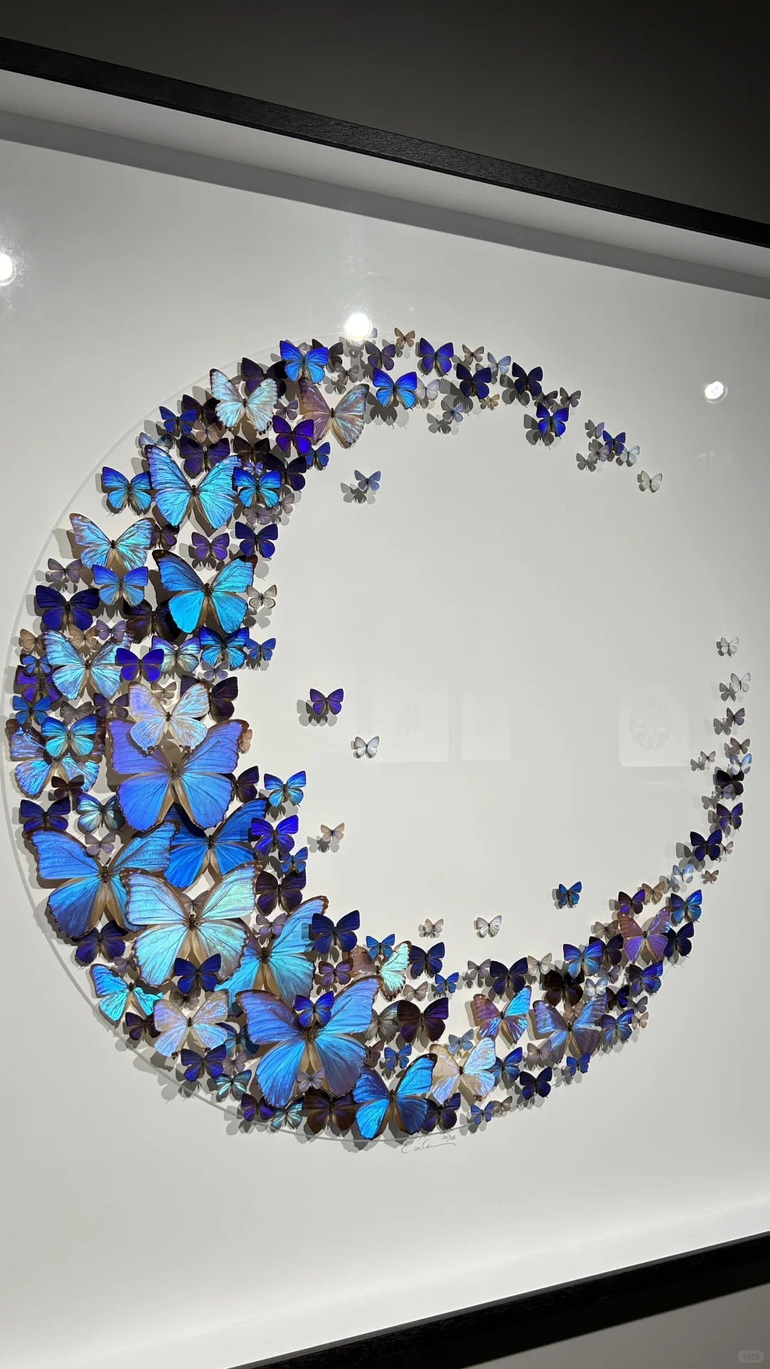 看看生物重生艺术展～