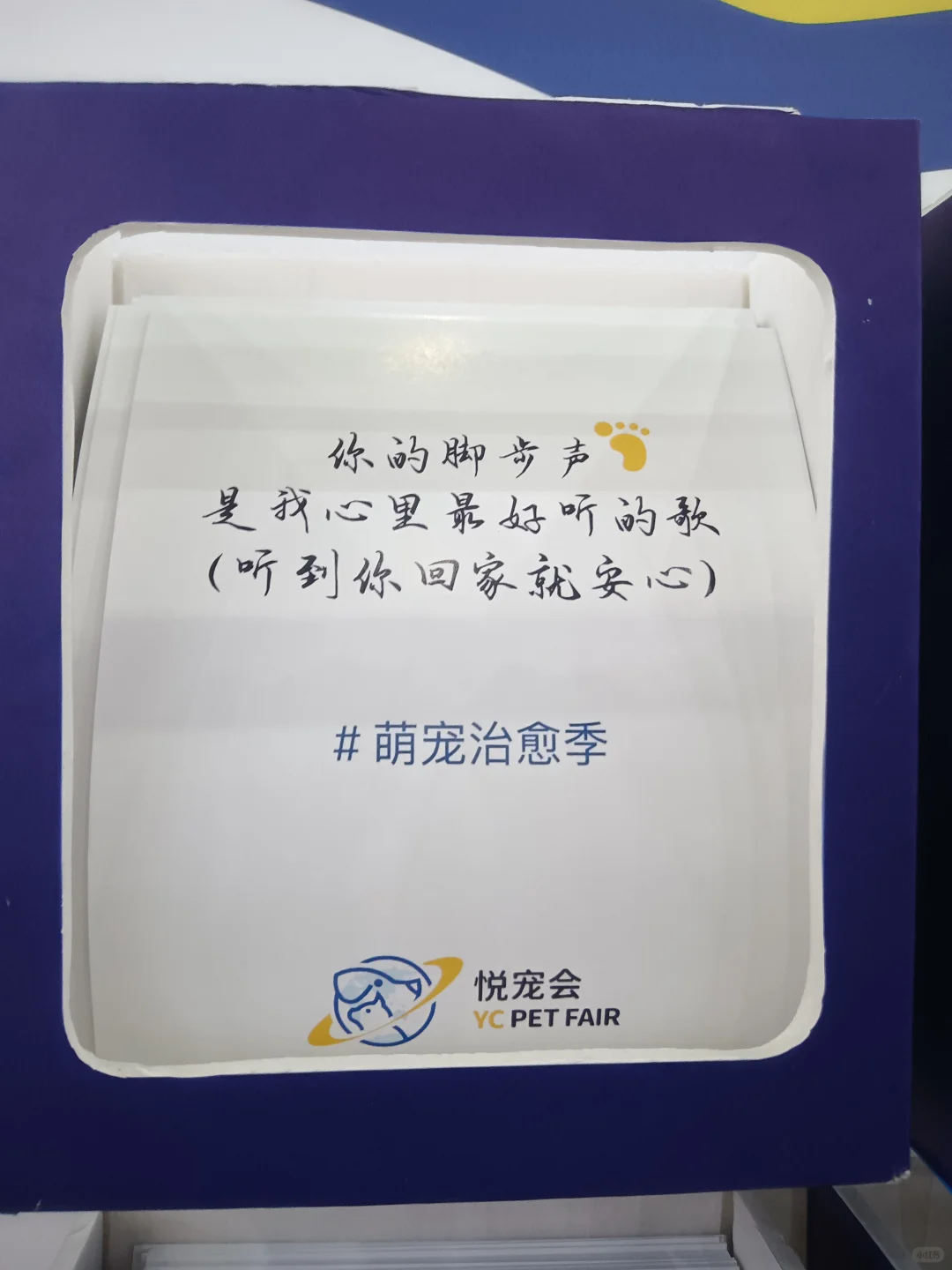 贵阳宠物博览会欢迎你